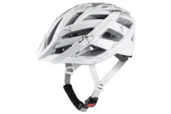 Alpina Helm Panoma 2.0