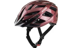 Alpina Panoma Classic